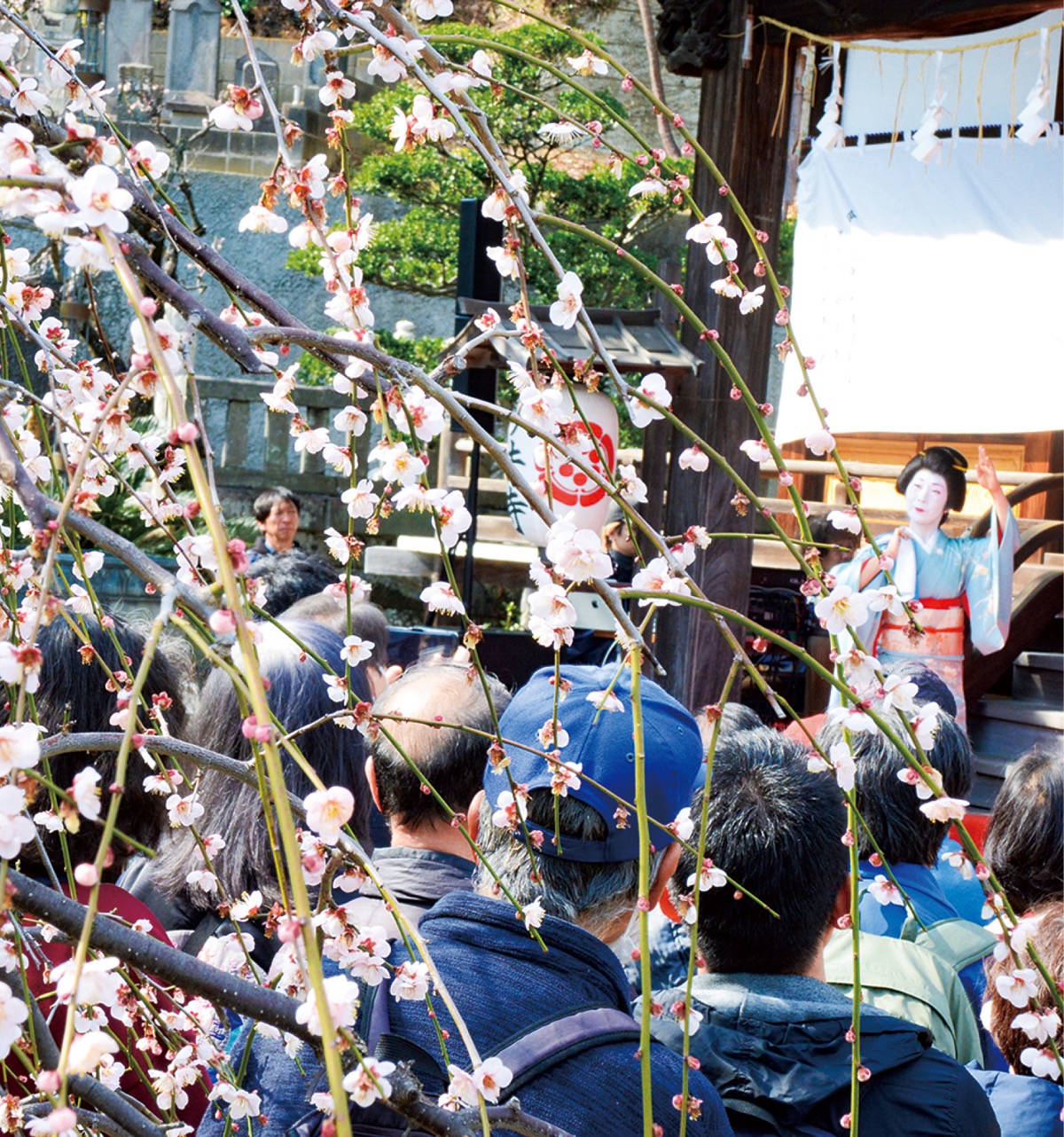 梅の木の前での芸者衆のステージ＝２月14日
