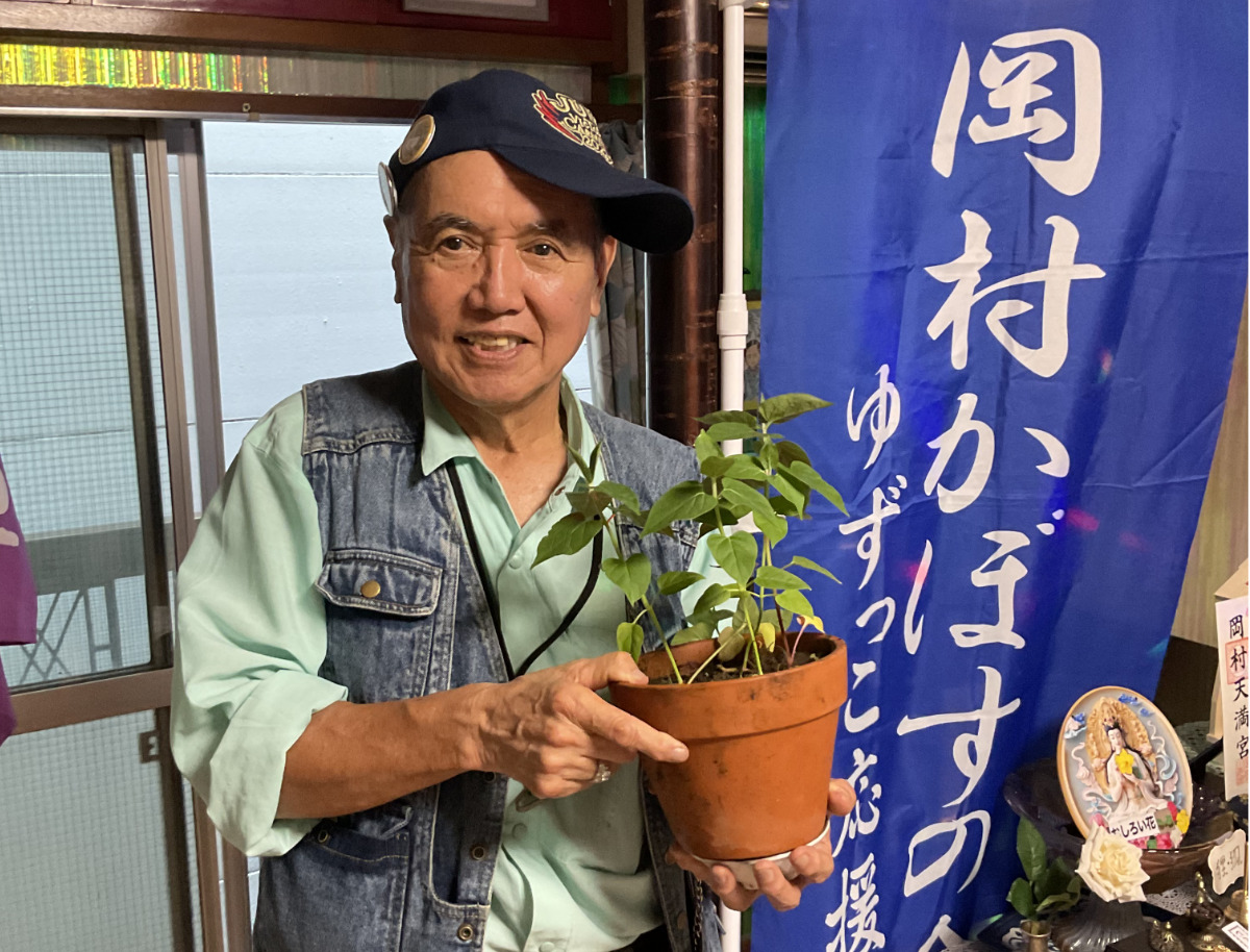 平野さんはゆずっ子立ち寄り処の2階にある事務所でオシロイバナを育てている