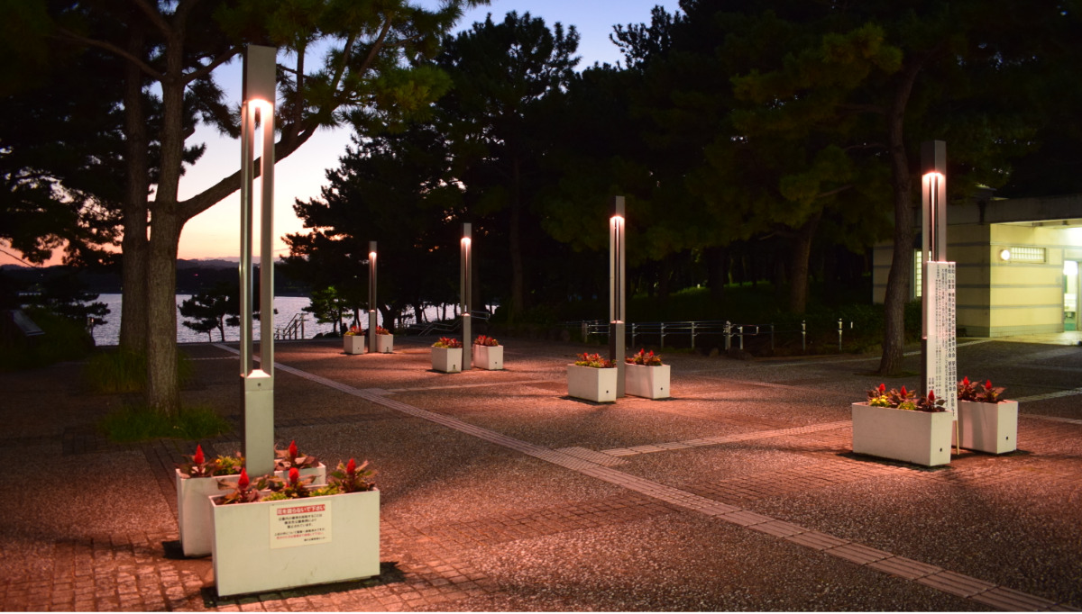 海の公園では31日までライトアップが行われている