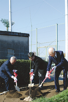 木を植える田中会長、坂本区長、鈴木顧問（左から）