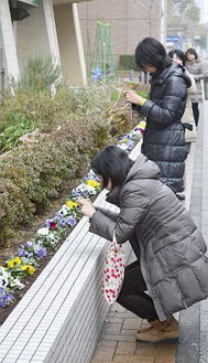 カメラを手に、花壇の花を撮影する参加者たち