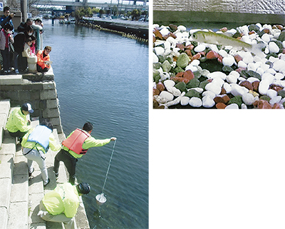 堀割川にサケ稚魚放流