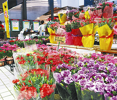 カーネーションがズラリ