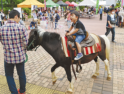 区役所が一日動物園に