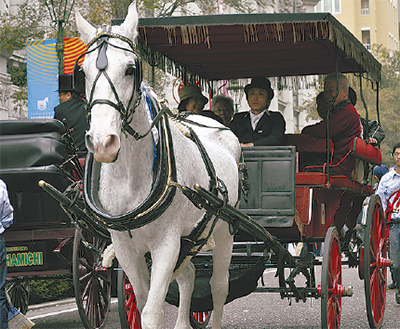 11月３日は馬車道まつり