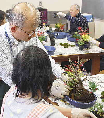 正月向けの盆栽づくり
