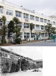 現在の校舎（上）と昭和17年完成の木造校舎（写真は昭和30年代頃・画像は港南歴史協議会提供）