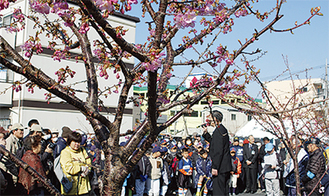 桜が咲く中、多くの参加者が集まった