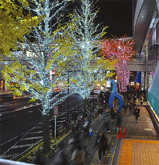 鎌倉街道沿いを彩るイルミネーション