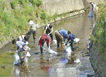 川底からゴミを引き上げる参加者