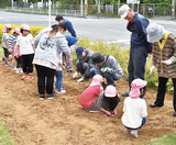 園児と住民が種まき