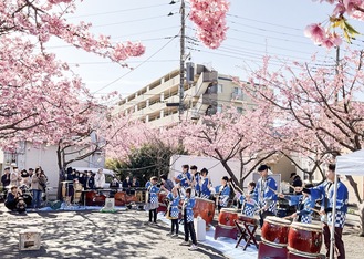 河津桜の下で、玉興太鼓クラブの演奏