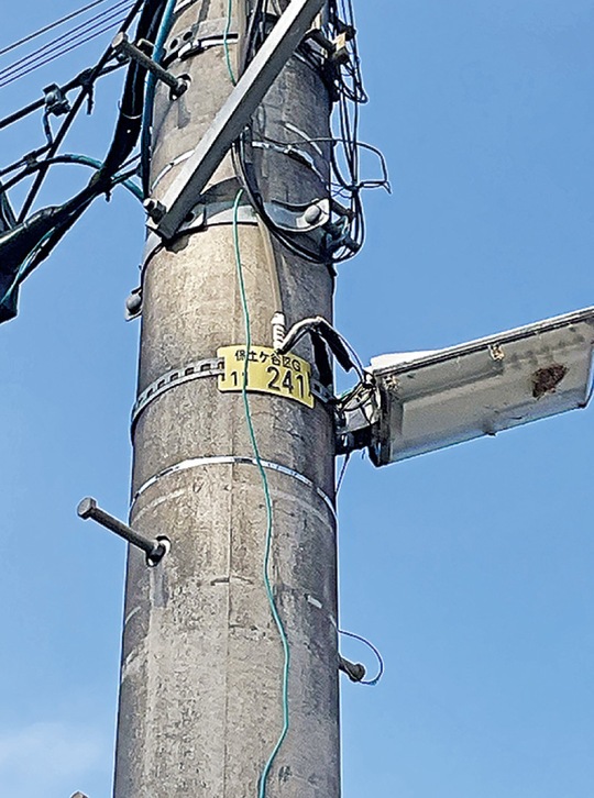 電柱共架型の防犯灯＝保土ケ谷区