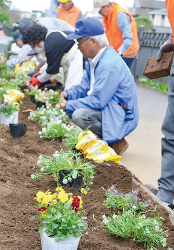 花を植える水辺愛護会の会員ら