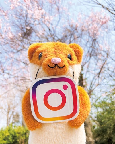 最初に投稿された写真