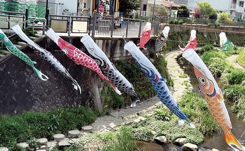 大久保橋付近を泳ぐこいのぼり＝４月19日撮影