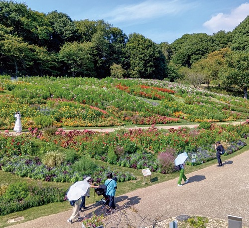 色づく大花壇＝９月26日撮影