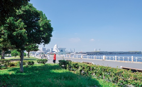 海と緑が広がる山下公園