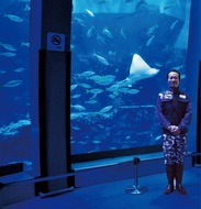 水族館が登録博物館に