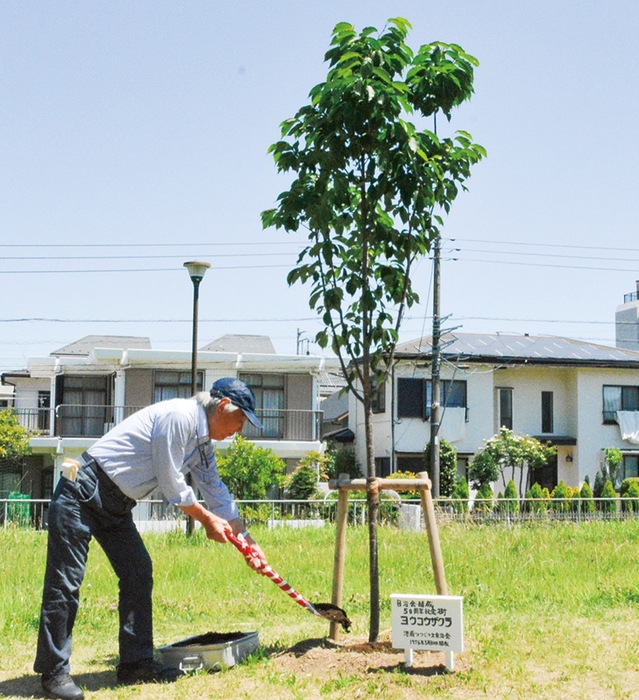 港南つつじが丘自治会　50周年記念の桜植樹　日野南公園で節目祝う