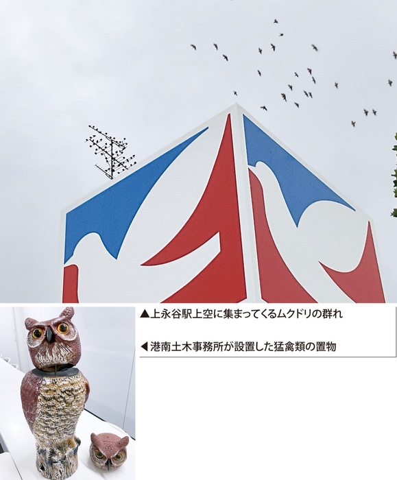 自治会関係者も「悩み」上永谷駅ムクドリ　ふん害に土木も対応苦慮