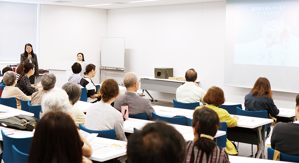 「猫とずっと一緒に」 (写真1)