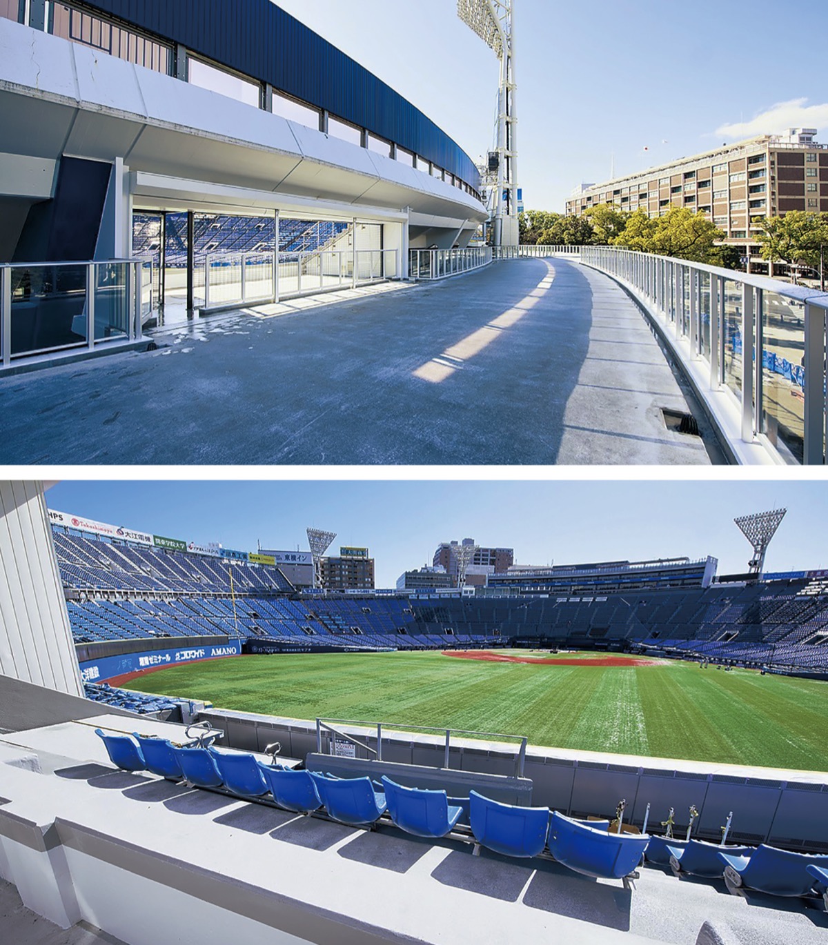 新生｢ハマスタ｣が完成