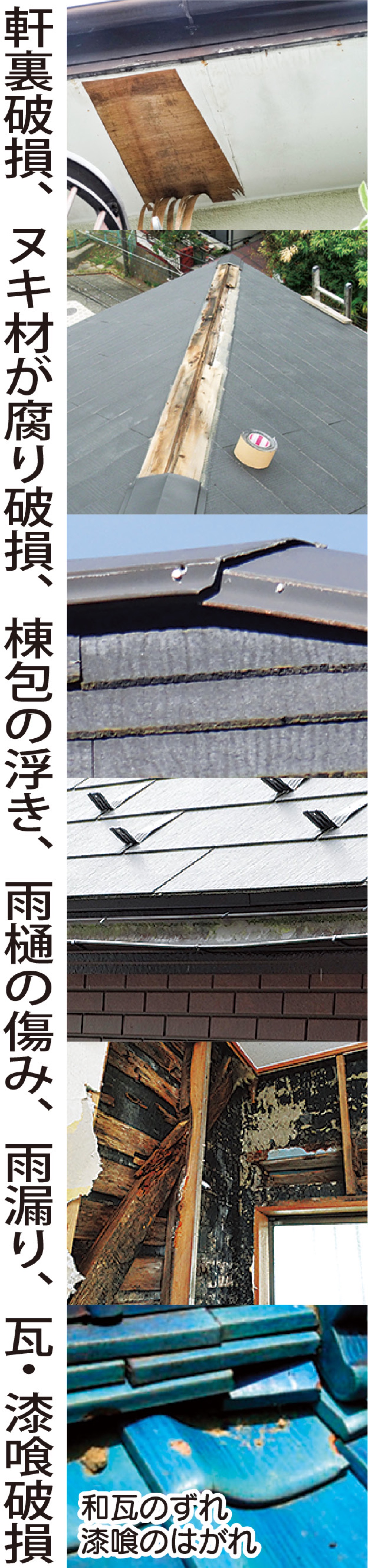 屋根等の修理無料も (写真1)
