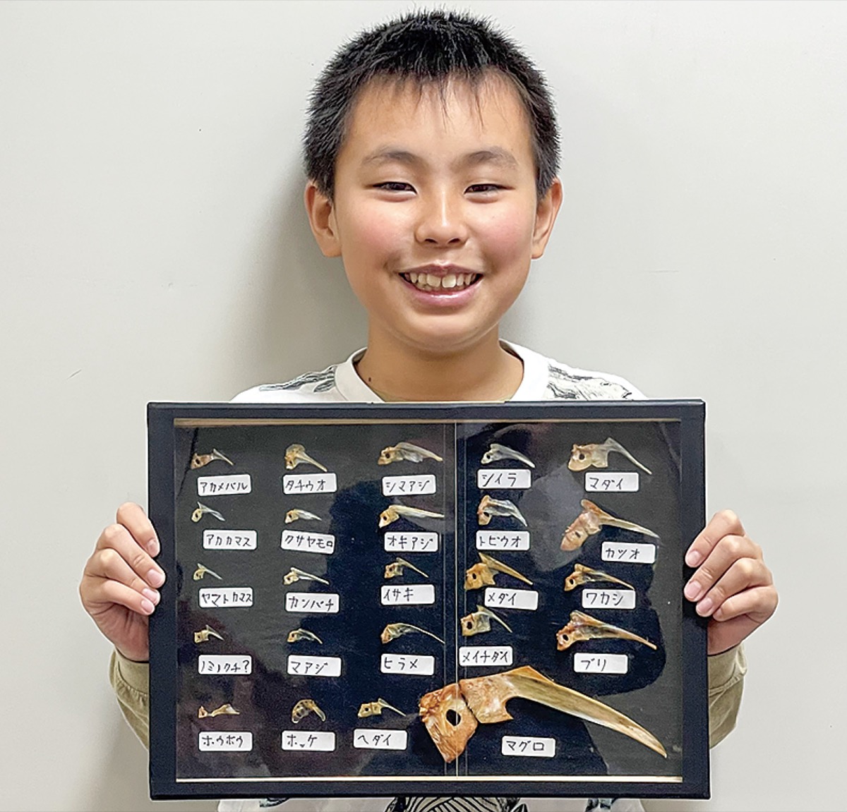 自身が収集した「鯛の鯛」の標本を持つ佐々木 蒼大さん　西本郷小６年生