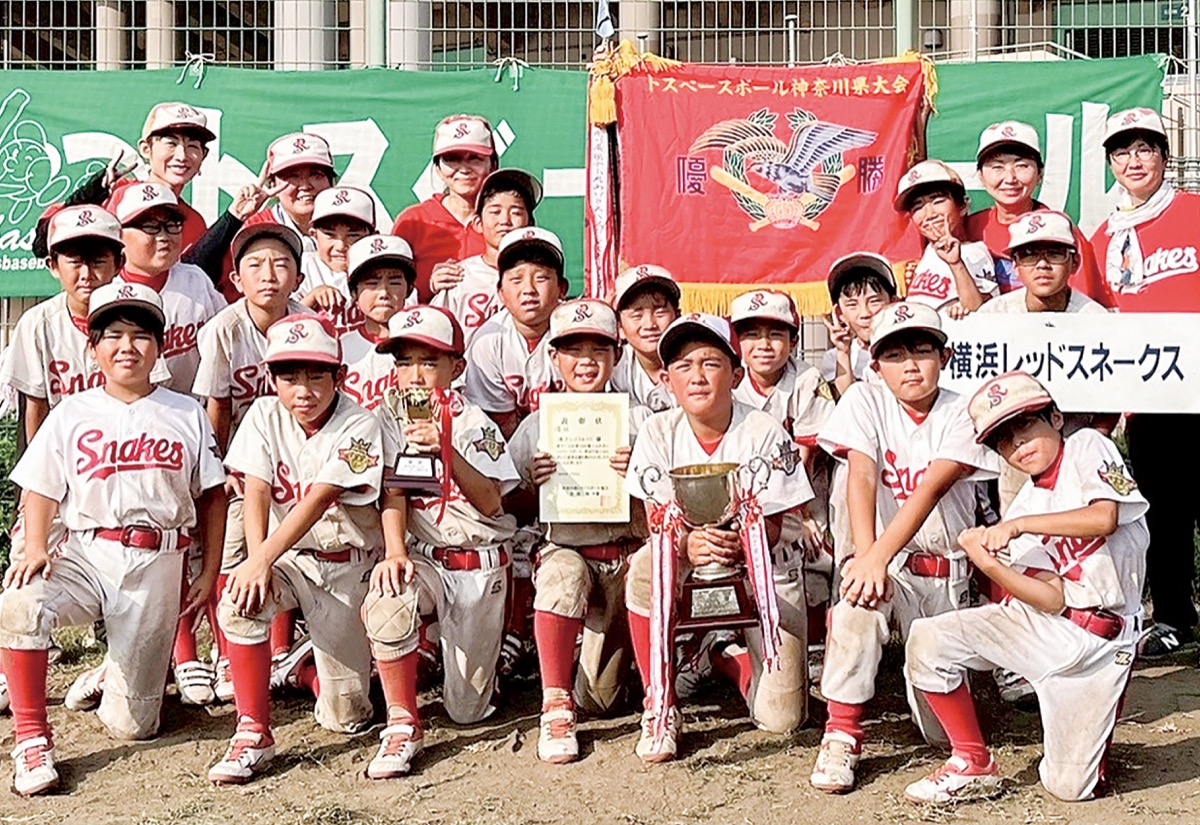 ”トス野球”で県優勝