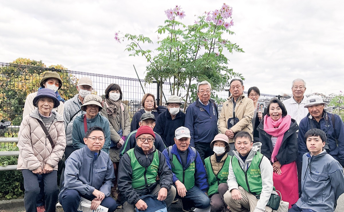 ｢ダリアまつり｣初開催