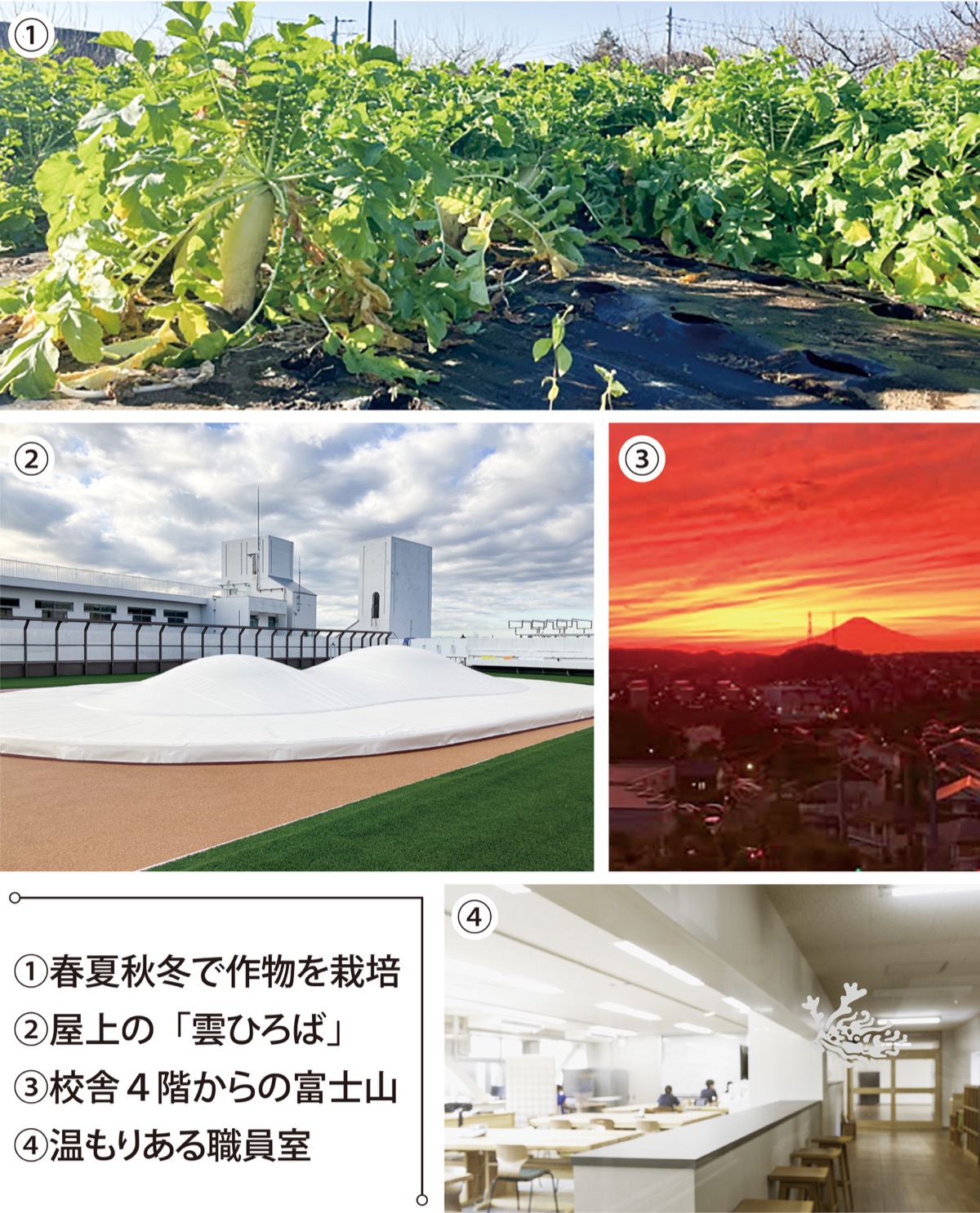 食育菜園で「心を育む」４月入校児童を募集中