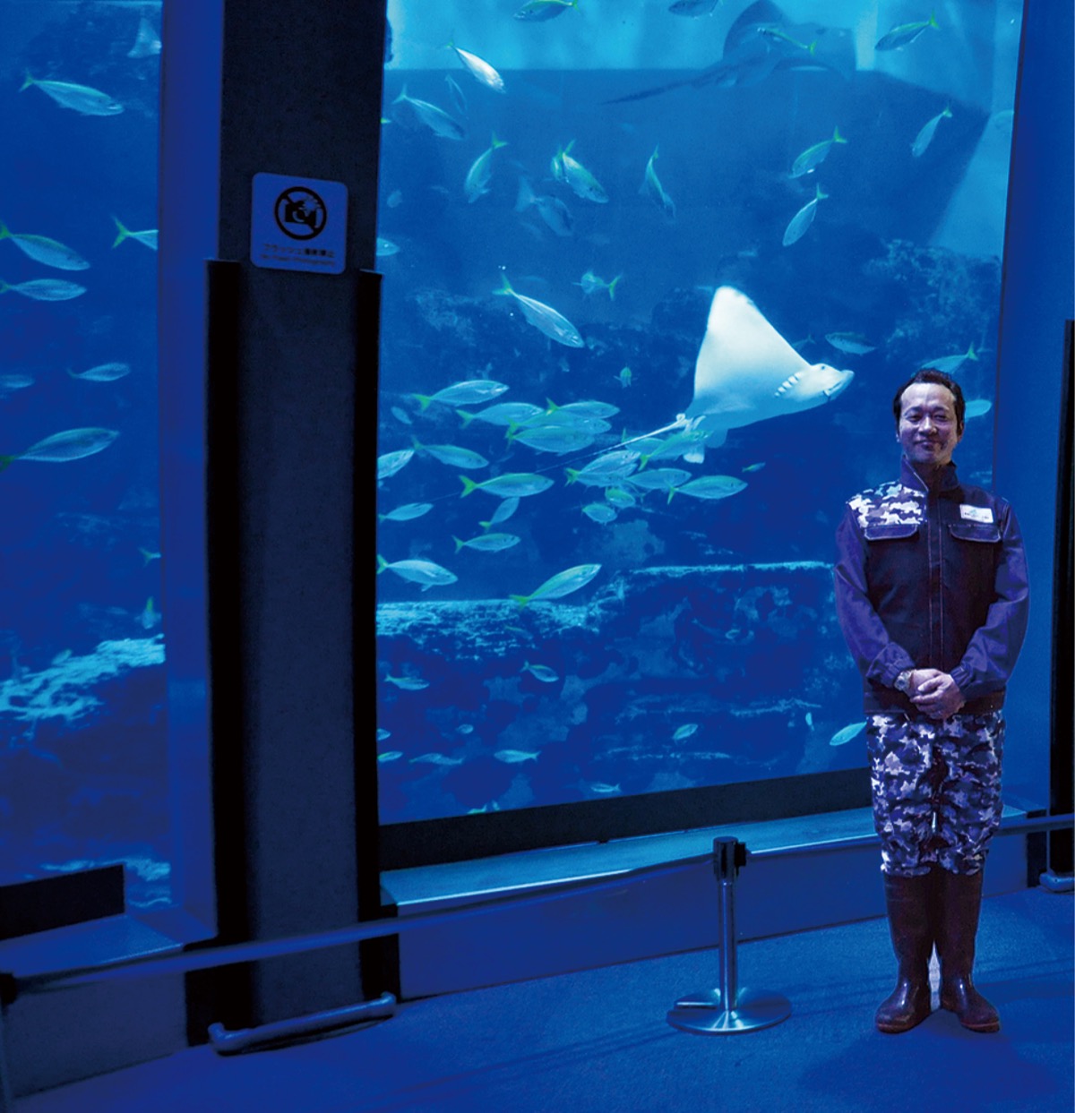 イワシなど多数の魚が泳ぐアクアミュージアム１階の大水槽と萬さん