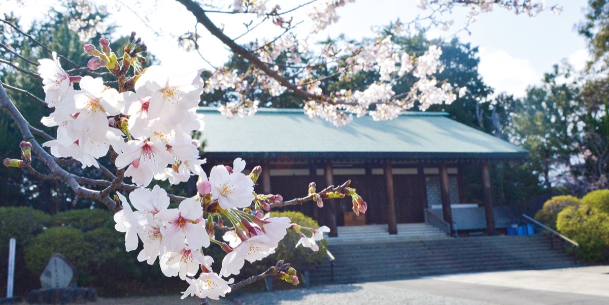 慰霊堂の桜
