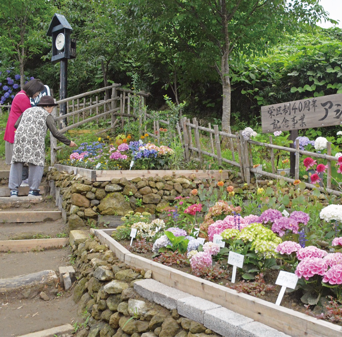 区制40周年記念花壇を見る来園者