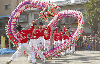 春節彩る龍の舞 17日までイベント多数 | 中区・西区・南区 | タウンニュース