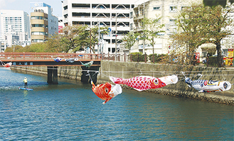 大岡川の長者橋から末吉橋まで飾られている鯉のぼり＝19日撮影