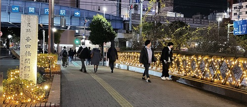 石碑や植栽と共にライトアップされた吉田橋