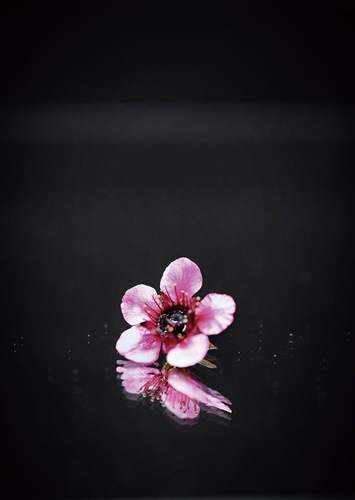 「醜女と花」by Takumi T.Yamasaki2025 STAND Still All Rights reserved