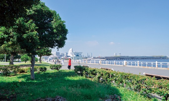 海と緑が広がる山下公園