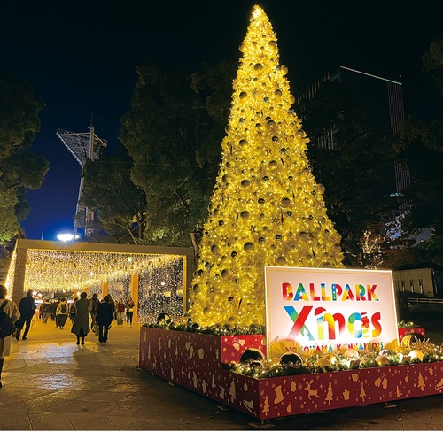 日本大通り側入口の「ホワイトクリスマスツリー」