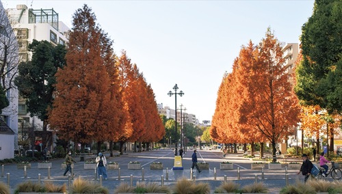 現在の大通り公園（12月５日撮影）