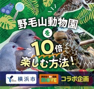 ｢子育てライフを一層楽しく｣