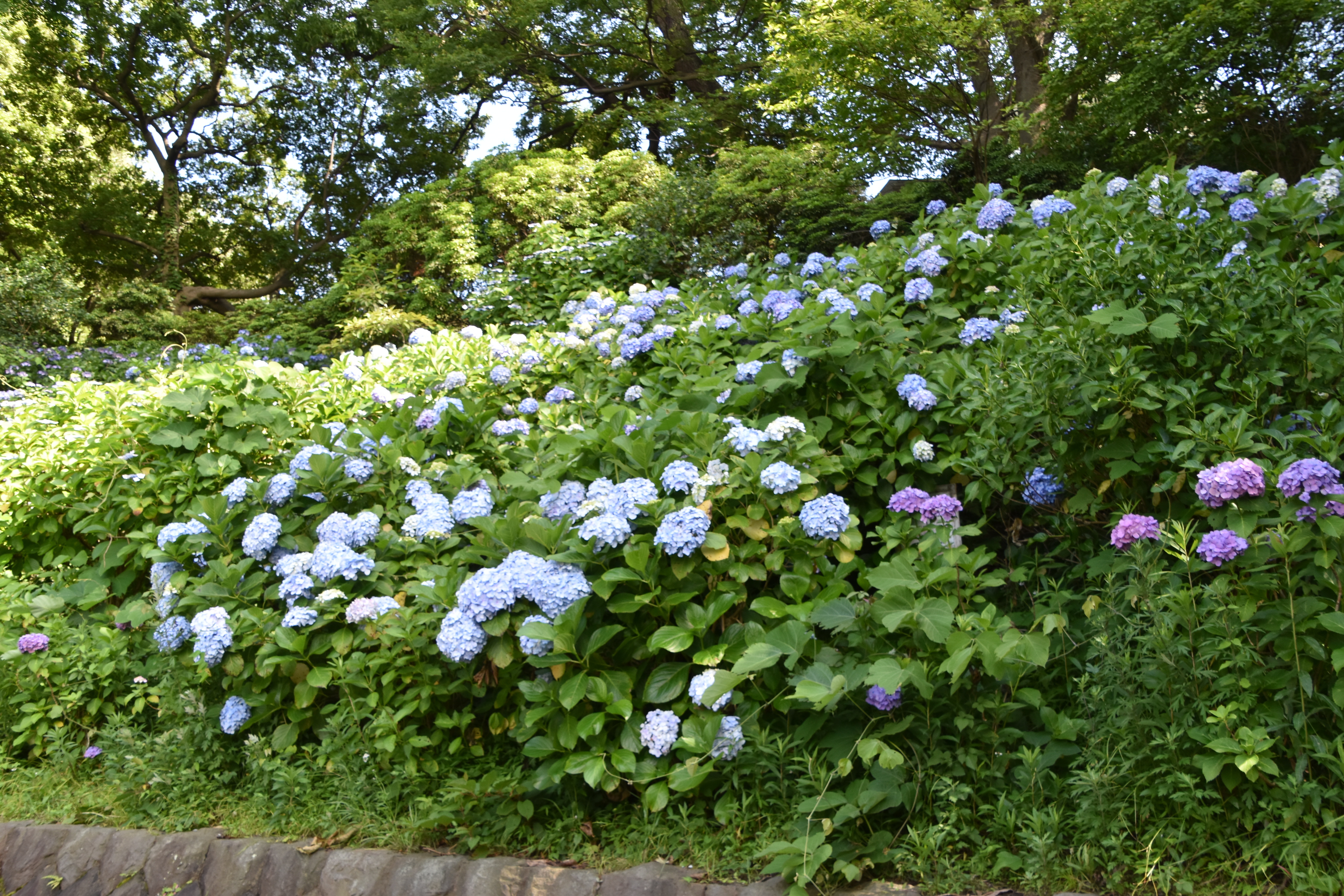 あっとほーむデスク