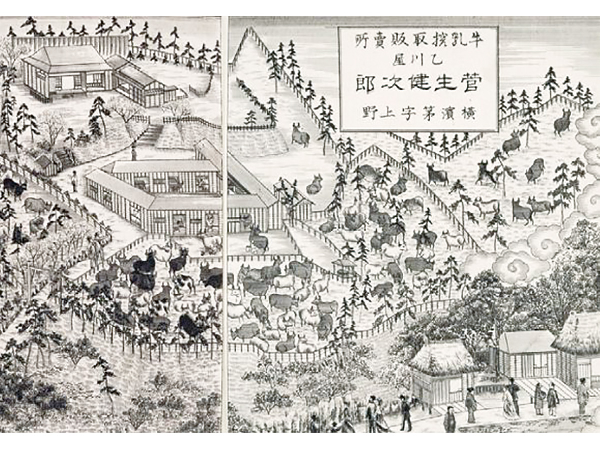 伊藤左千夫と酪農