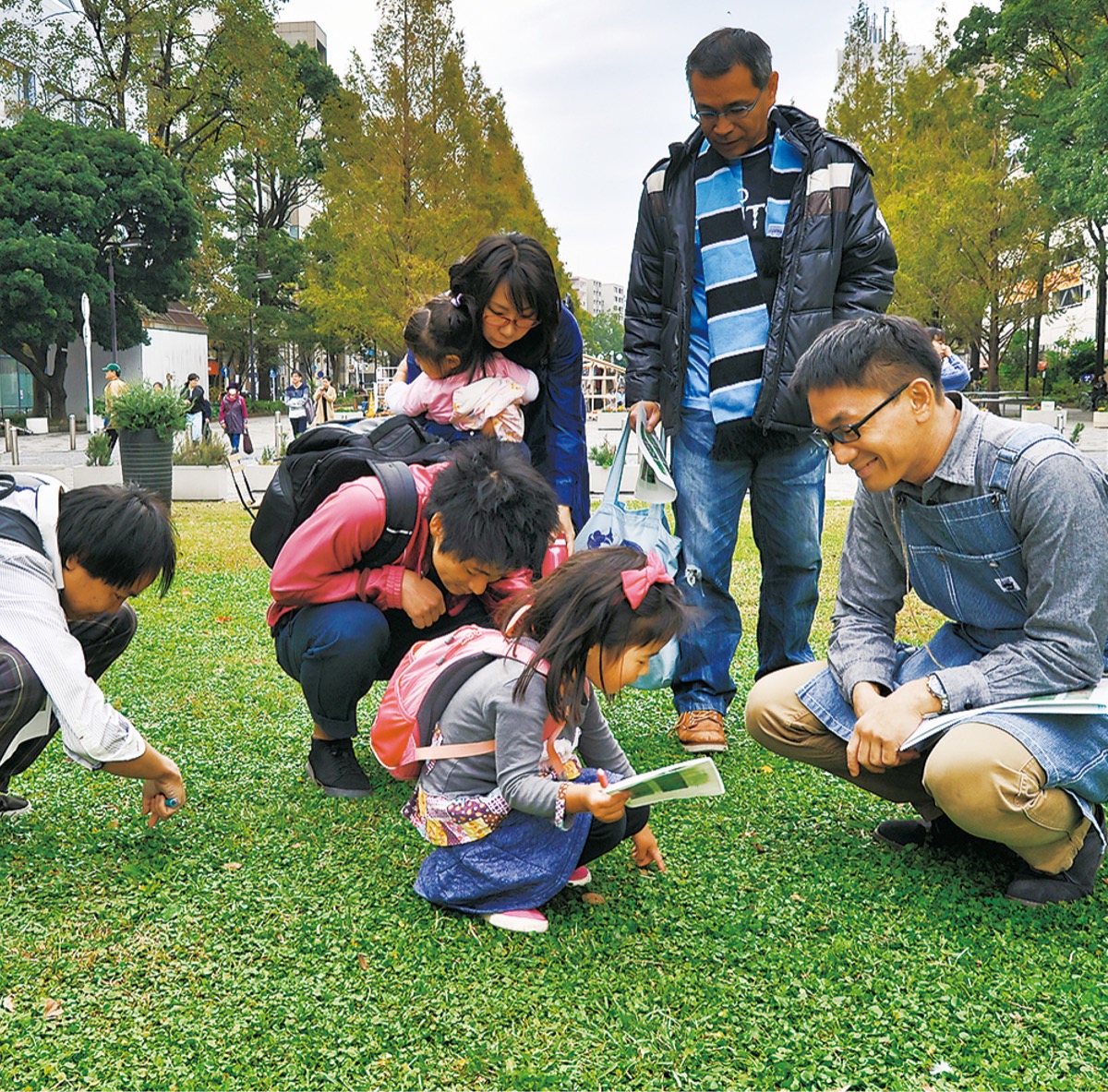 公園に生えている“優良なZASSO(雑草)”を観察