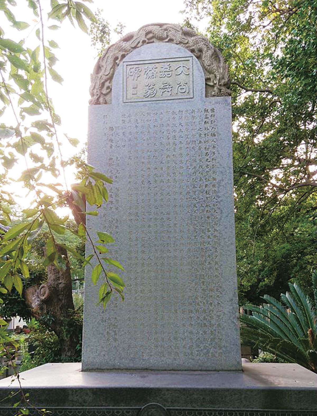 大谷嘉兵衛　日本茶輸出を支え茶聖と呼ばれた人