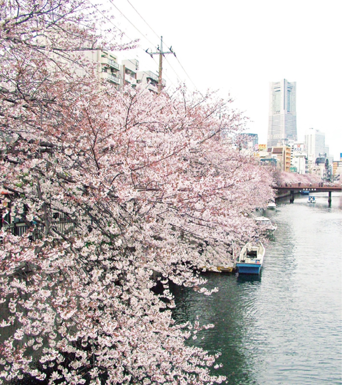 桜まつり実行委が解散