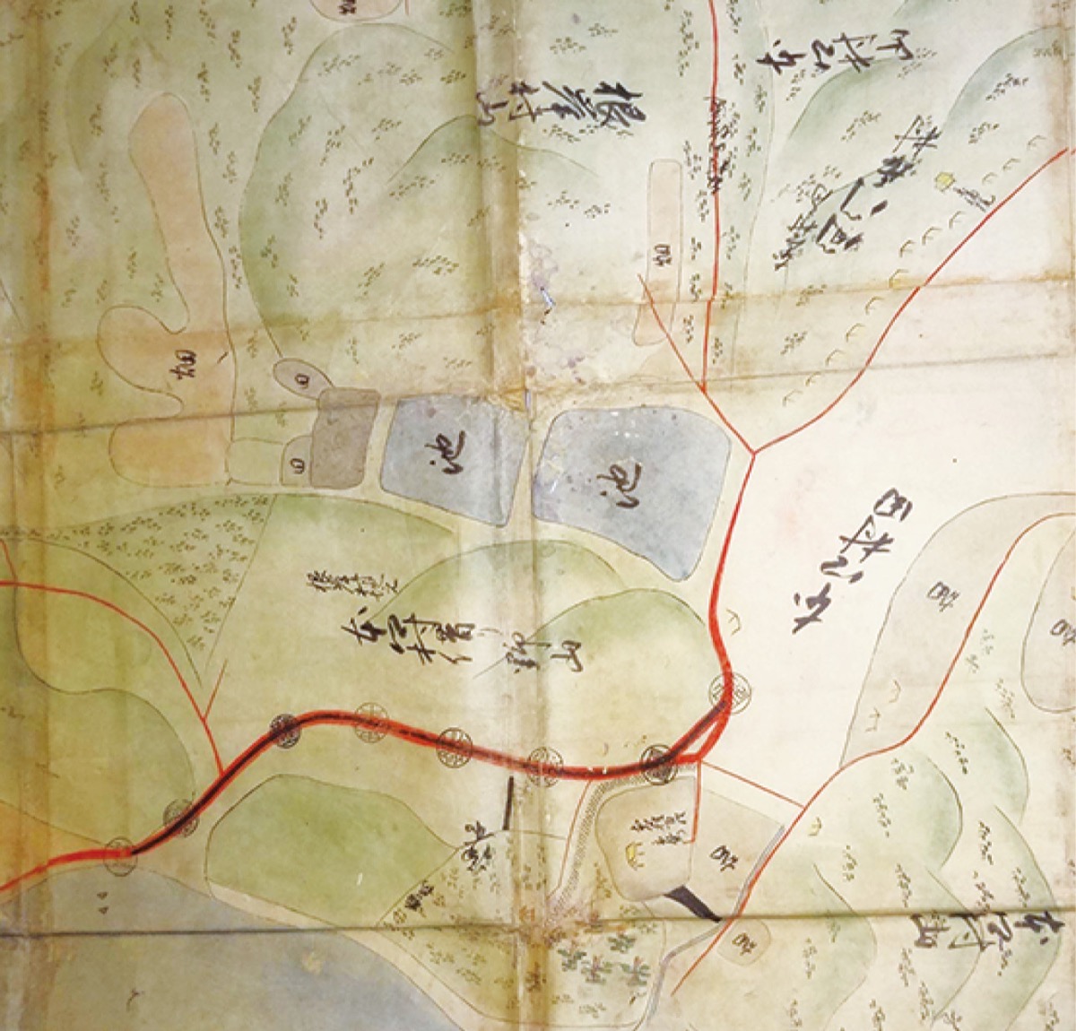 『池袋 豊かな水が湧く灌漑設備』