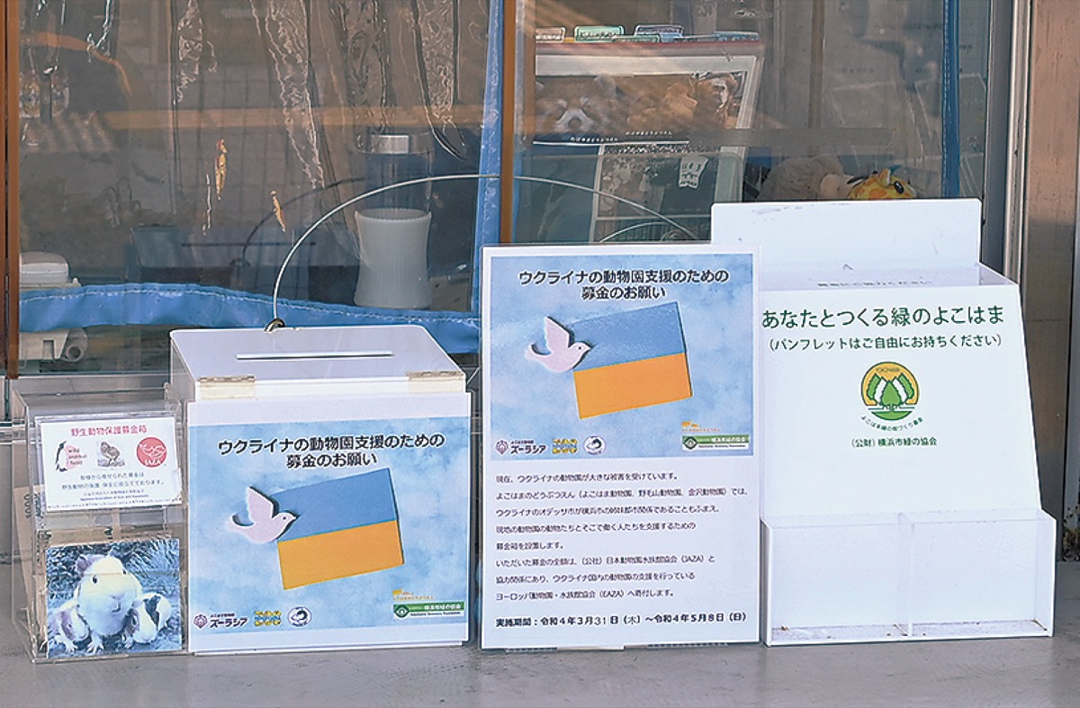 野毛山動物園の募金箱(横浜市緑の協会提供)